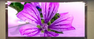 連鎖火鍋店老板哭訴：門頭LED廣告機(jī)讓我多賺了110萬，但千萬別學(xué)我踩這3個坑！”