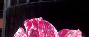 led屏為什么會(huì)流行起來？都有什么特點(diǎn)？