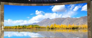 小間距l(xiāng)ed顯示屏未來的發(fā)展前景怎么樣？