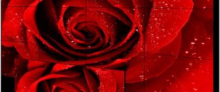 店員瘋狂發(fā)傳單，顧客卻頭也不抬？LED廣告機(jī)‘強(qiáng)制吸睛’的5個(gè)心機(jī)設(shè)計(jì)”